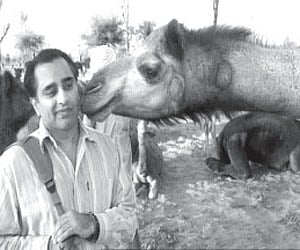 Here’s the comedy centre