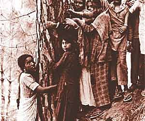 Women embrace Chipko in Japan