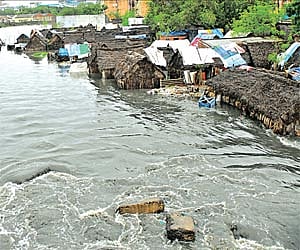 Houses inundated in Saidapet in Chennai/A Raja Chidambaram.
