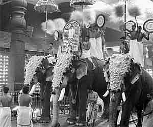 Gajaratnam Guruvayur Padmanabhan carrying the Swarnakolam and Thidambu of Sree Guruvayurappan during the Ashtami Vilakku ezhennellippu at Sree Krishna