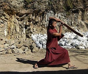 US city offers BCCI land for cricket stadium