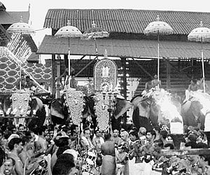Tusker Gajasamrat Guruvayur Vailya Kesavan accompanied by four tuskers carrying the Swarnakolam and the Utsava thidambu of Sree Guruvayurappan for the