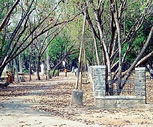 The Public Garden in Gulbarga. This is the main garden in the city where most people take their morning and evening walks.