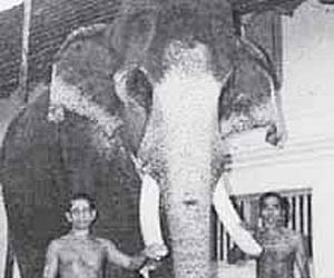 A file photo of Guruvayur Keasvan