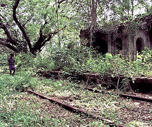 Jipson Sikhera