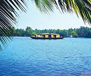 Rejuvenate your senses