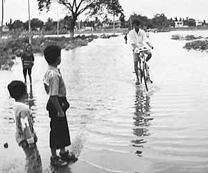 Backwaters of Krishna river overflowing on the road in Bagalkot.