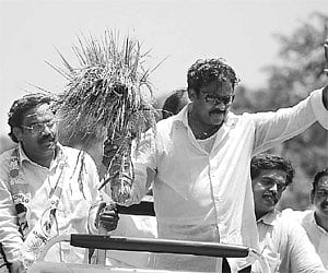 SYM BOLIC GEST URE: Praja Rajyam Party president Chiranjeevi holding a sapling during his election campaign at Tadepalligudem on Wednesday.