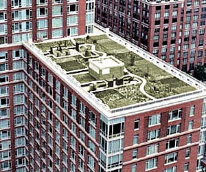 Spotlight on low-height parapet walls