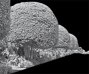 For a chic landscape