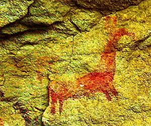 The images emerged from ancient rock paintings in Amravati, Maharashtra. (IANS Photo)