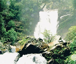 Don't take a rain check