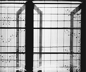 Abstract reflections