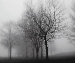 Winter till February