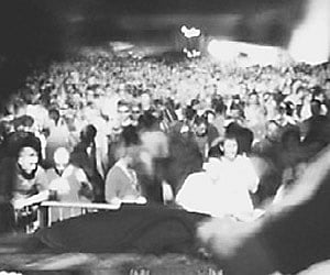 Let your spirits soar