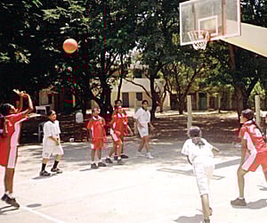 ‘Married to basketball’