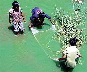 Children fishing in the Ulsoor Lake.