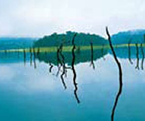 Thekkady: Boat services to be resumed soon