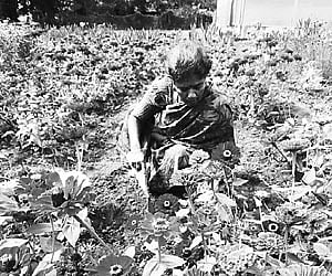 Arrangements on the eve of Krishimela 2009 seen at GKVK campus on Bellary Road in Bangalore on Wednesday.