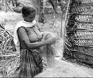 Rejected coir coils up into noose for workers