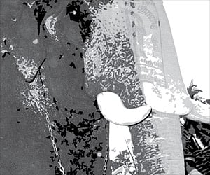 Jumbo stress on Elephants