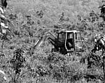 An earthmover in action at Keeriparai Arasu Rubber Corporation near Nagercoil.