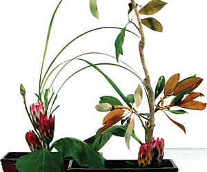 Exquisite Ikebana