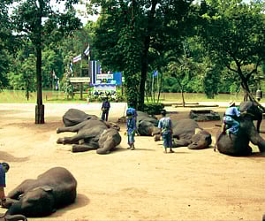 Escape from the bang