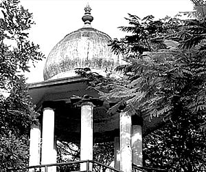 Towering above the rest