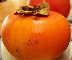 Persimmon fruit. (Image reproduced as per Wikimedia Commons license.)
