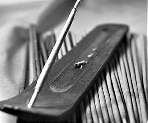 About fragrant beginnings