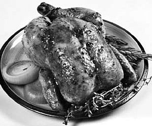 Encyclopedia of Indian music launched