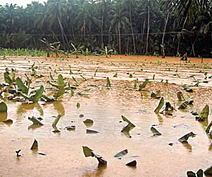 Now call captain Dr Vijayakanth