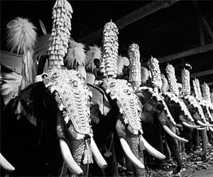 Thrikketta Purappadu today