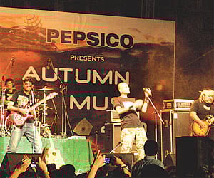 Avial: Perfect blend of south and north