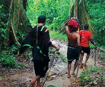 Spiritual journey through the deep woods