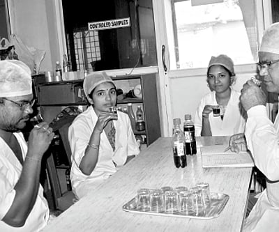 Into the world of flavours