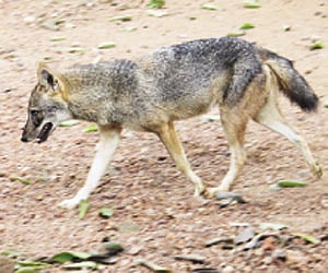 Image used for representational purpose only