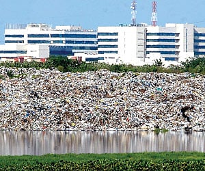 The Pallikaranai dumpyard with marshland in the foreground and highrise buildings in the background.