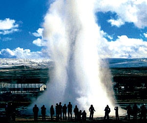 Geysers, with a piece of hakarl