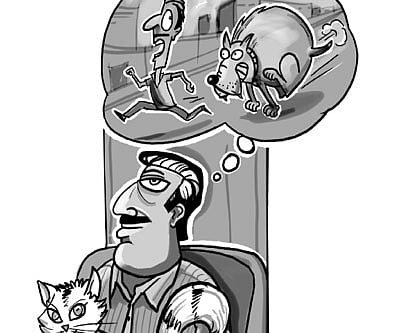 On being reborn as a pet cat