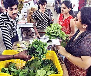 Visitors enquiring about spinach varieties displayed at the organic mela at Lalbagh on Saturday I Jithendra M