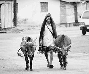 The villages are losing their population to the ever-growing cities. But is there a way to find a balance and preserve the age-old traditions, skills