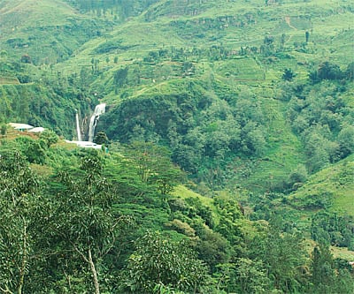 Where Hanuman found Sita