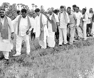 Rashtriya Lokdal president Ajit Singh and TDP president N Chandrababu Naidu along with other leaders walking through the fields of Pedapudi in Ambajip