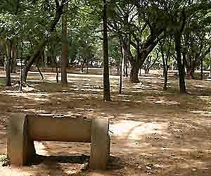 Green signal for metro at Cubbon Park