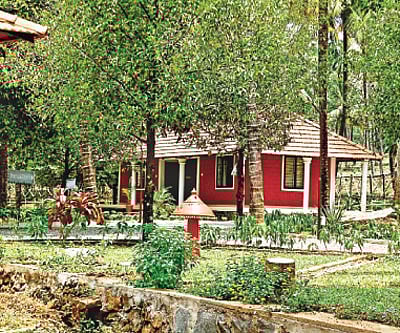 Retreat to nature’s womb