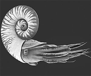 Catch a glimpse of the possible future