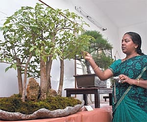 A visitor examines one of the exhibits | R SATISH BABU