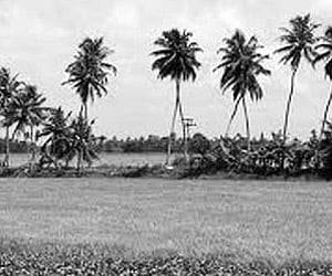 (From left) Dr DN Acha MorFaw, P Murari and Jeyaprakash at the inauguration   | Martin Louis